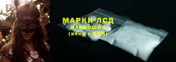 PSILOCYBIN Аркадак