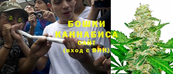 PSILOCYBIN Аркадак