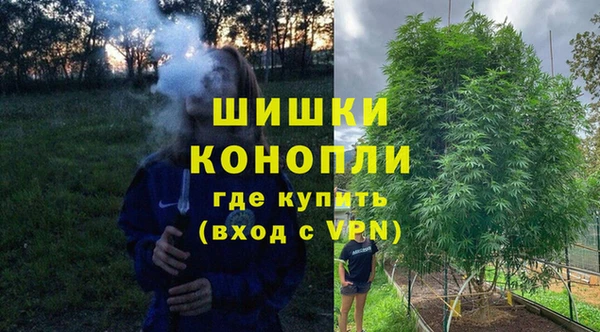 PSILOCYBIN Аркадак