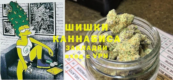 PSILOCYBIN Аркадак