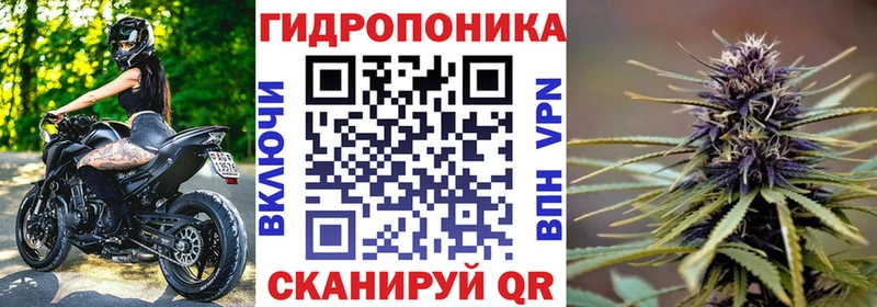 Шишки марихуана ГИДРОПОН  блэк спрут ТОР  Туринск 